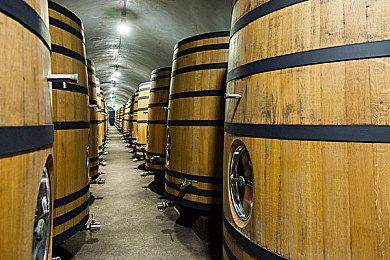 《使命召唤：战区》正在测试150名玩家比赛